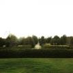The View 