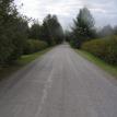 The Laneway