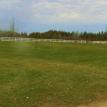 Main Grass Training Ring