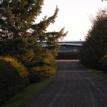 Further Along the Laneway