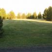 Grass Ring