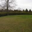 The Courtyard