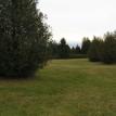 Hunter Derby Field 