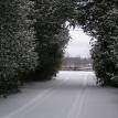 First Snow