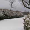 A winter day